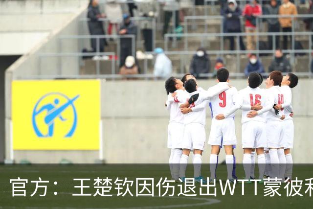 官方：王楚钦因伤退出WTT蒙彼利埃冠军赛 安宰贤递补