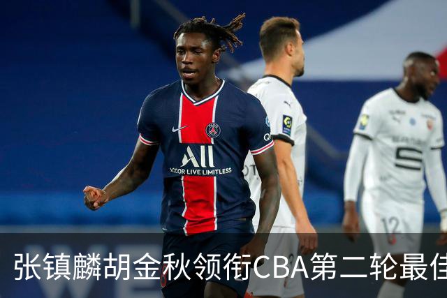 张镇麟胡金秋领衔CBA第二轮最佳阵容 付豪篮板称王