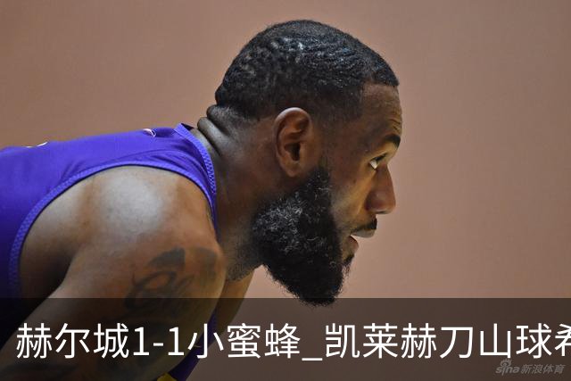 赫尔城1-1小蜜蜂 凯莱赫刀山球希基送点 麦克伯尼点射瓦塔拉扳平